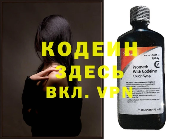 шишки Горняк