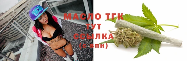 шишки Горняк