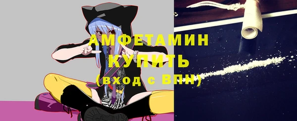 шишки Горняк