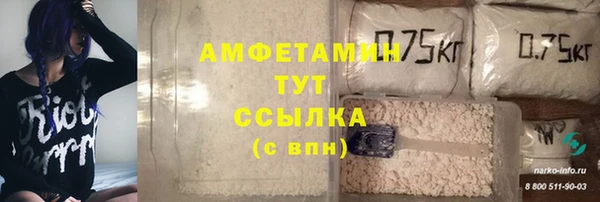 шишки Горняк