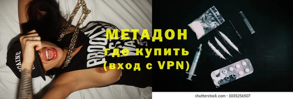 шишки Горняк