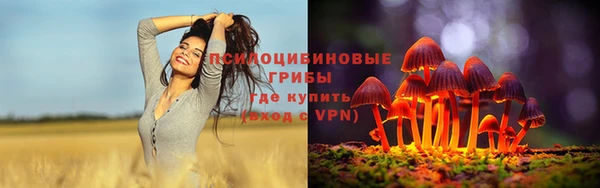 круглые Вязники