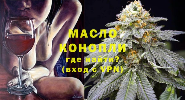 шишки Горняк